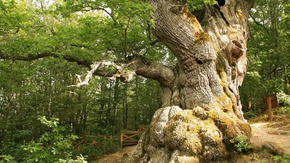 Diario de Valderrueda post