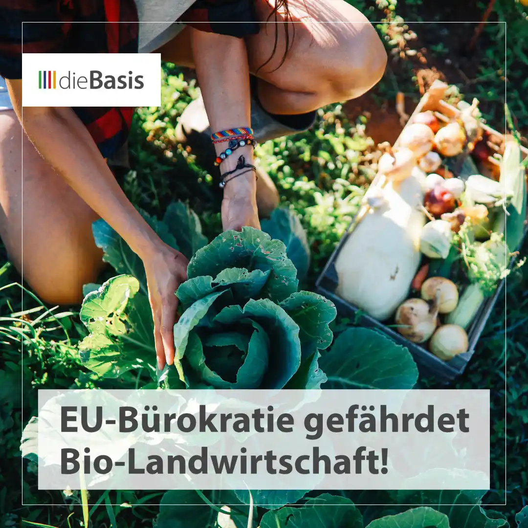 Image from dieBasis NRW: *🚜 EU-Bürokratie gefährdet Bio-Landwirtschaft!* 🧐 Strenge Weidepfl...