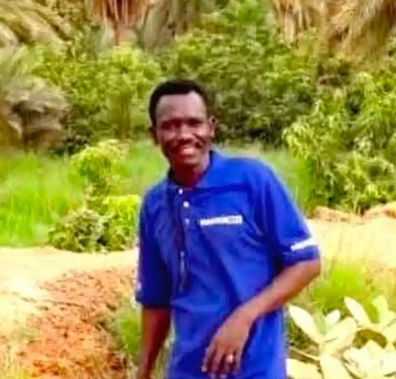 ديسمبر نيوزDecember News post