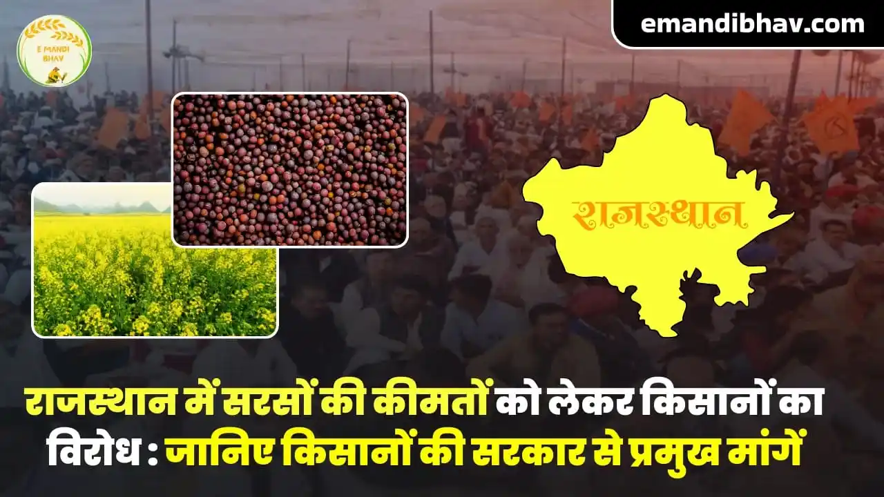 E Mandi Bhav 🌾🌾 post