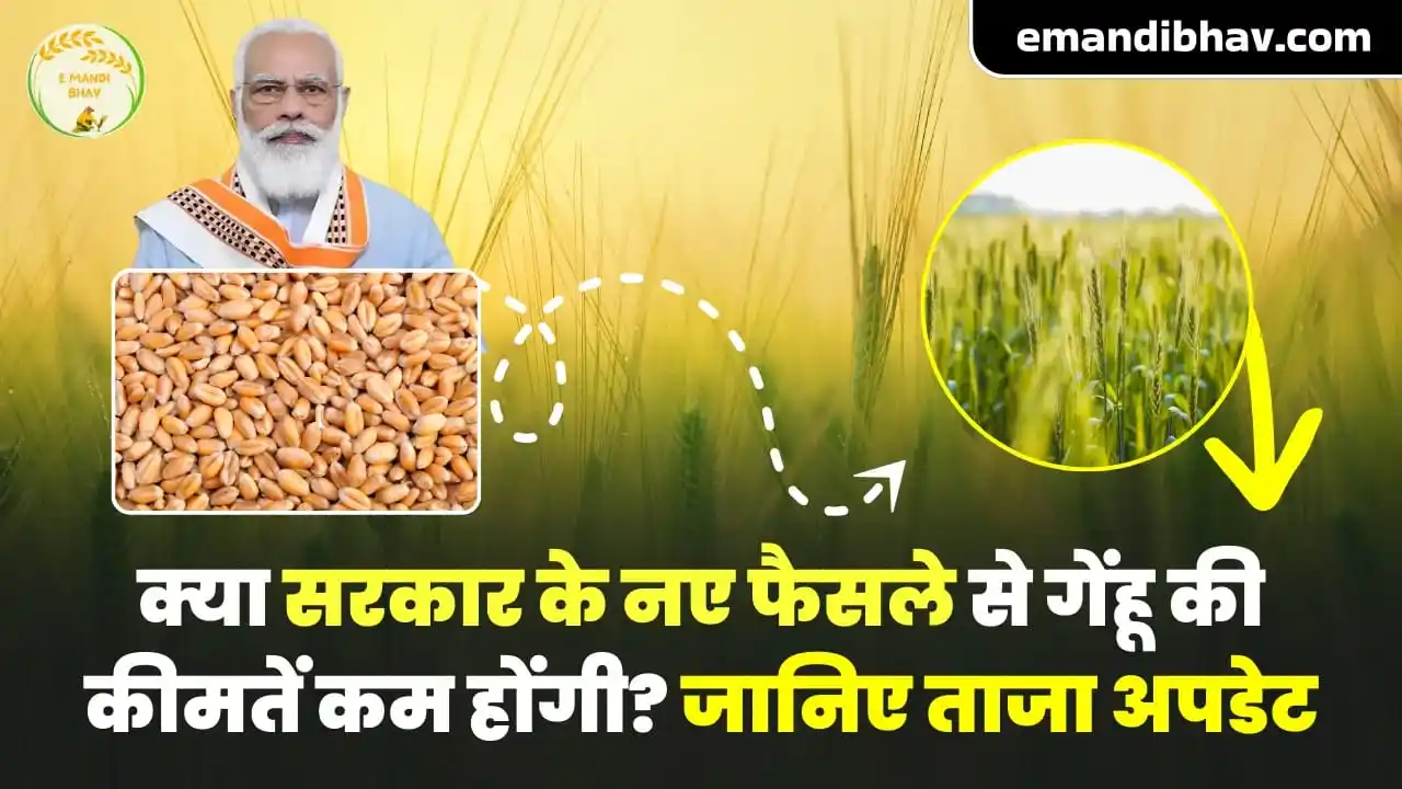 E Mandi Bhav 🌾🌾 post