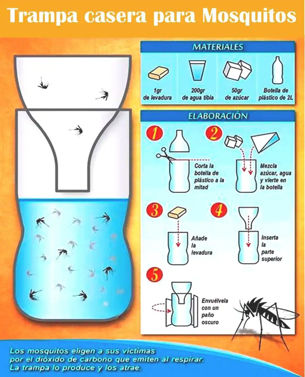 EcoInventos post