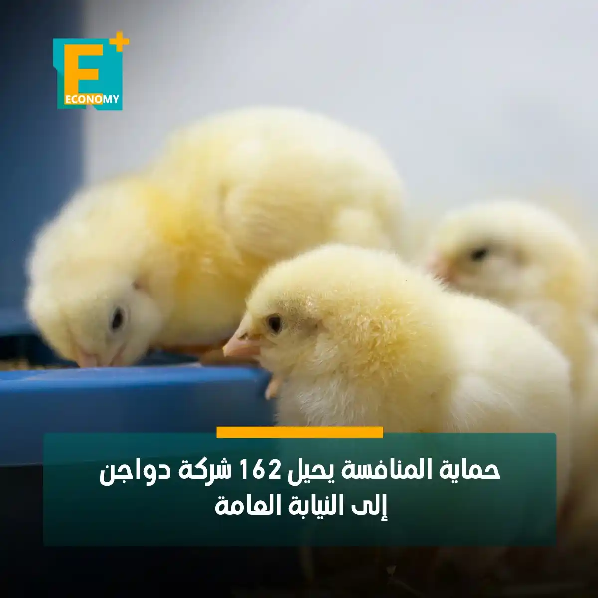 Image from Economy Plus إيكونومي بلس: جهاز حماية المنافسة ومنع الممارسات الاحتكارية يحيل 162 شركة من منتجي ك...