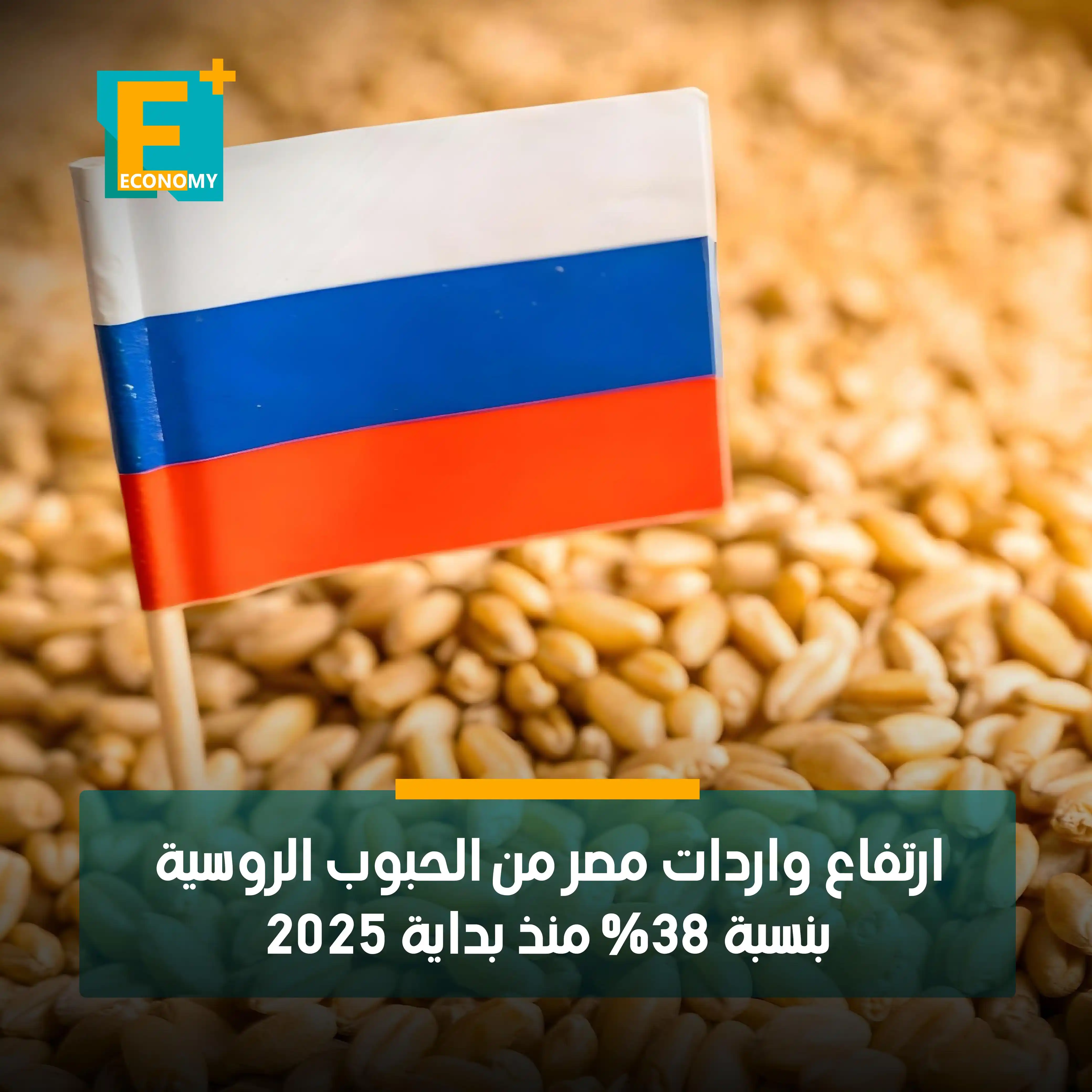 Economy Plus إيكونومي بلس post