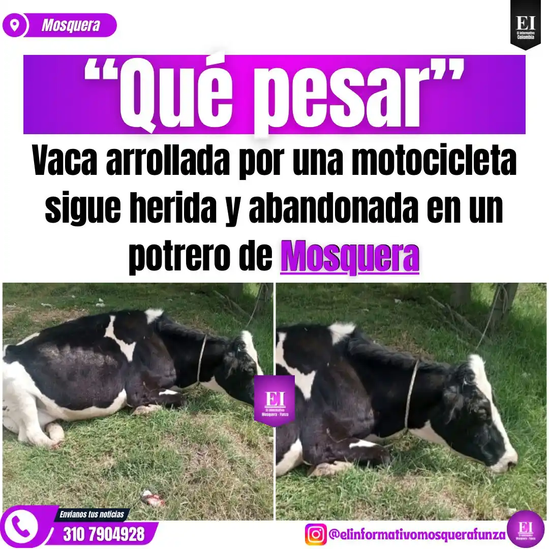 El Informativo Colombia  post