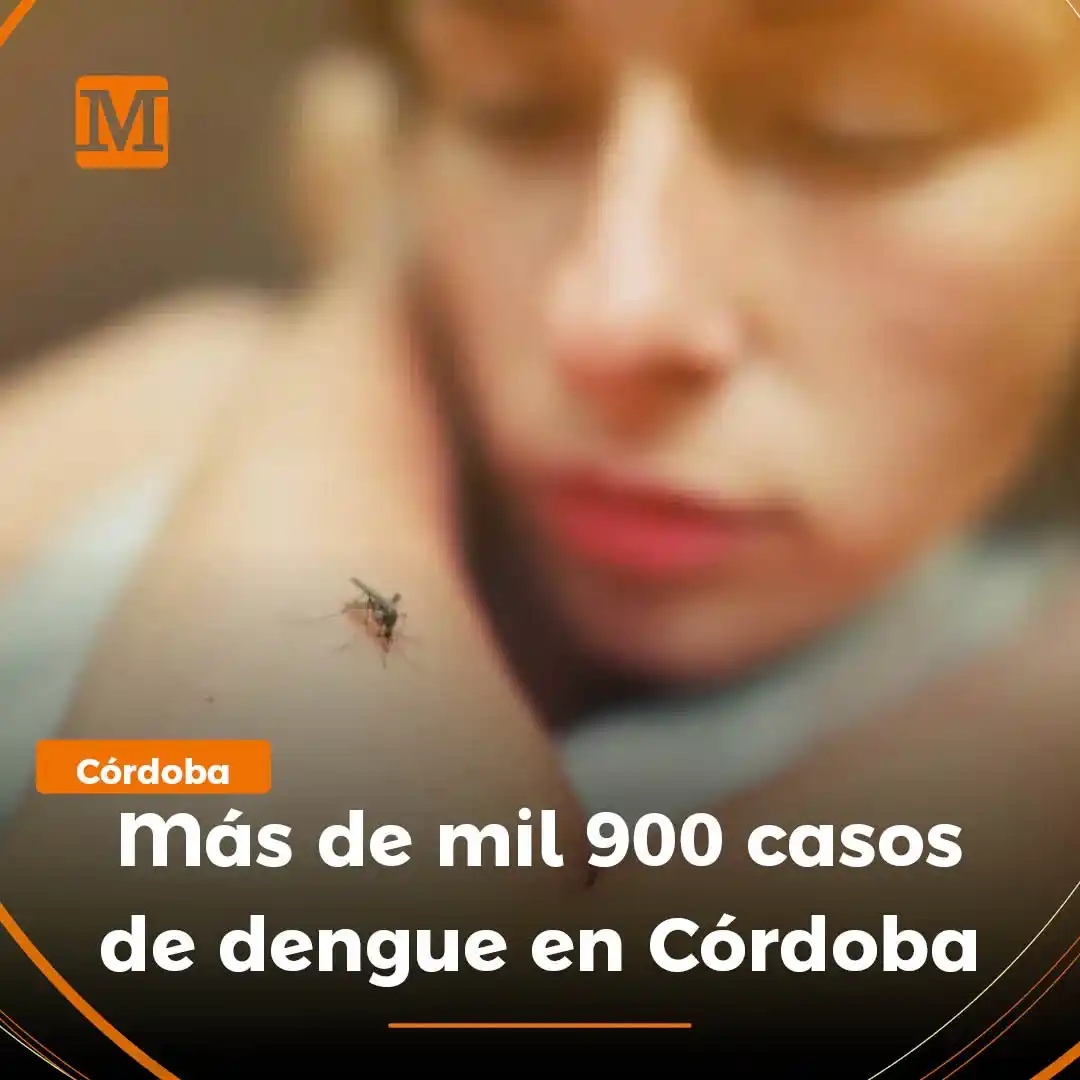 El Meridiano post