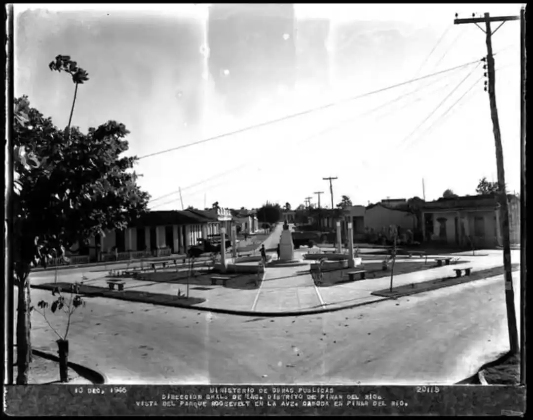 El Viejo Pinar y más 📜 post