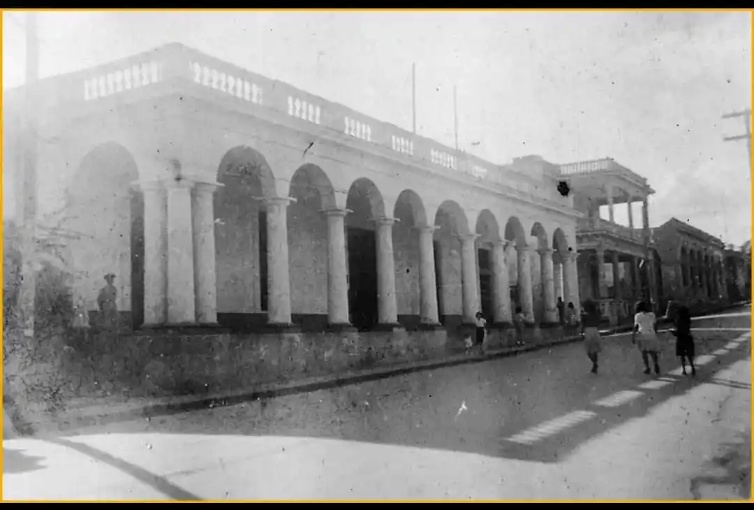 El Viejo Pinar y más 📜 post