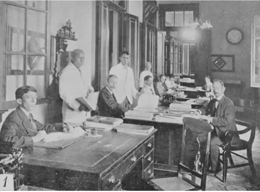 El Viejo Pinar y más 📜 post