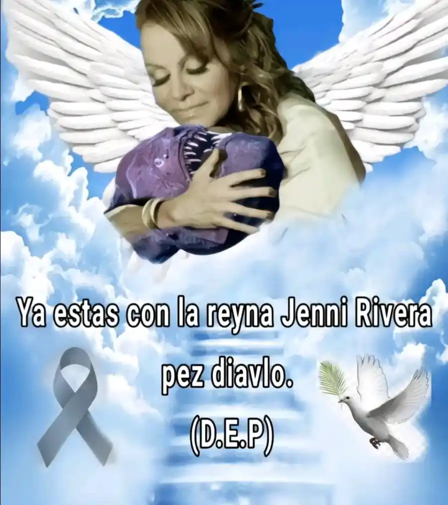 ♤𝔼𝕝𝕖𝕟𝕒'𝕤 𝕄𝕒𝕕𝕟𝕖𝕤𝕤♤ post