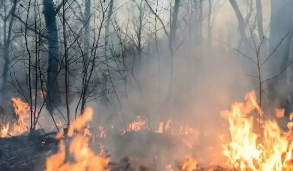 Emergencia San José, Región de los Rios  post