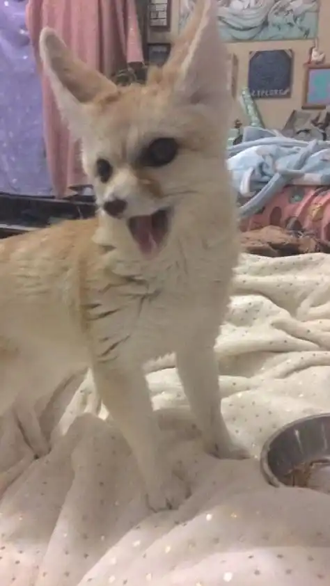 Eva<3 - @stay8stay8 post