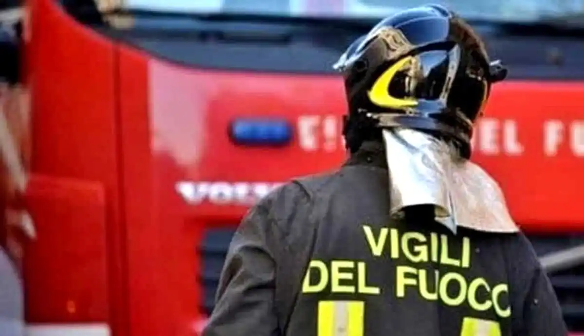 FerraraToday post