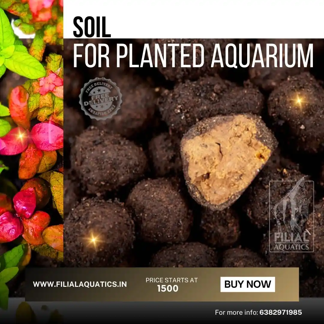 Image from Filial Aquatics: Plant soil: https://filialaquatics.in/product-category/plant-soil/ <a...