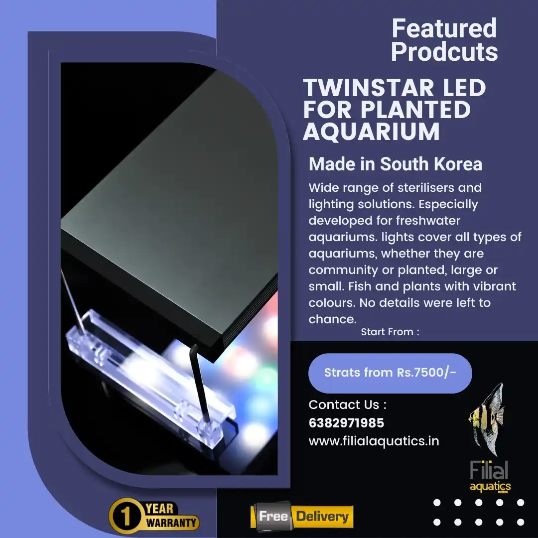 Image from Filial Aquatics: TWINSTAR LIGHT FOR TROPICAL FISH :https://filialaquatics.in/?s=Twinsta...