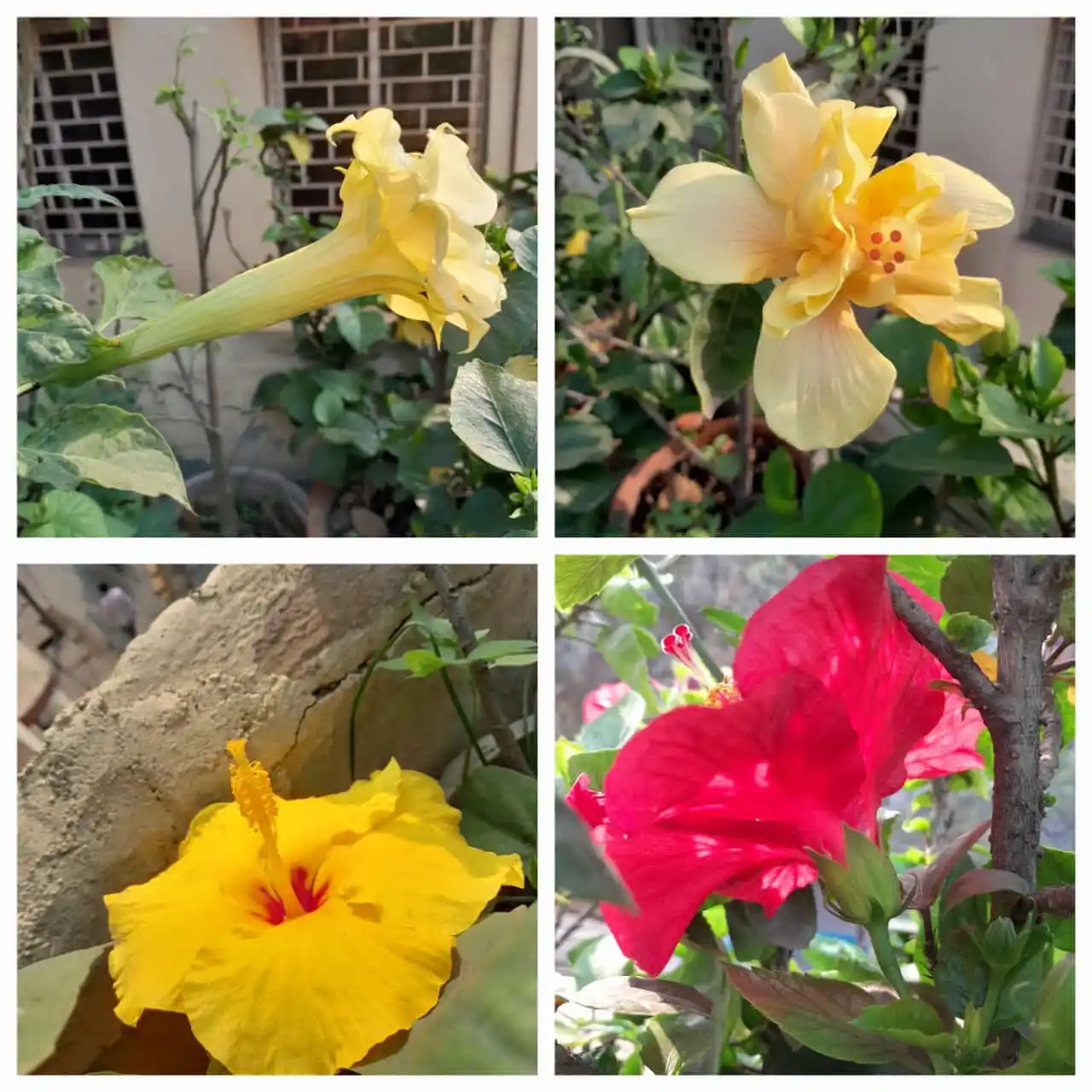 Flowers @Eternity200815 post