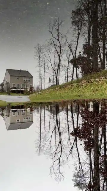 فوائد قيمة post