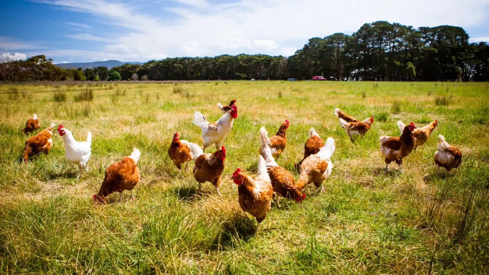 Food Industry Connect by FW Africa post