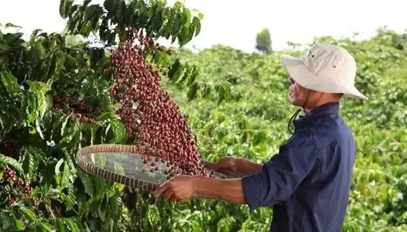 Food Industry Connect by FW Africa post