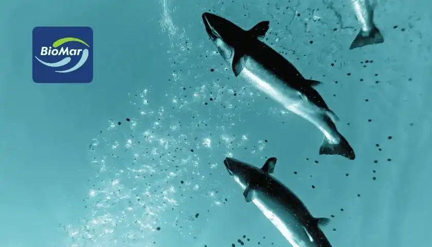 Food Industry Connect by FW Africa post