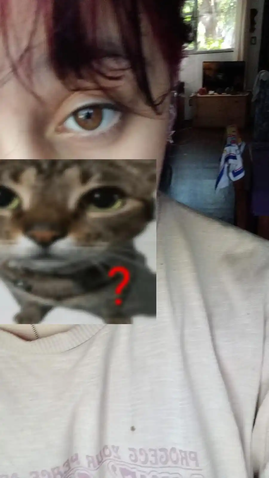 geis infinitos 🛹 post