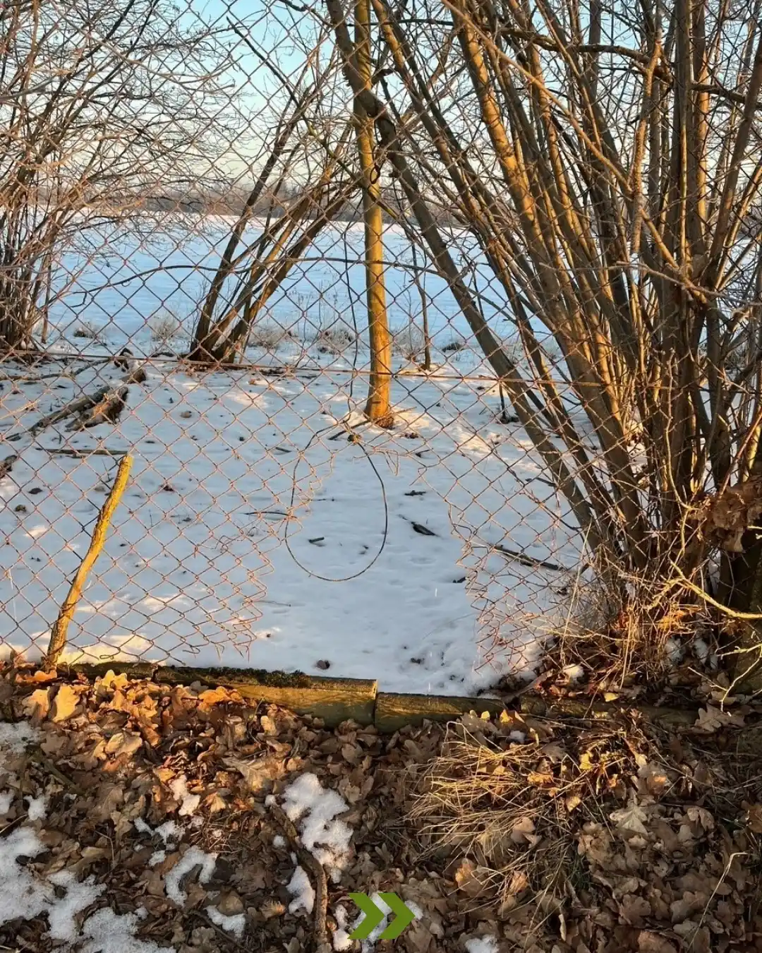 Image from Gemeinde Stahnsdorf 🦅: Das ist eine Schlingfalle. Solltest du eine finden, dann melde uns die...