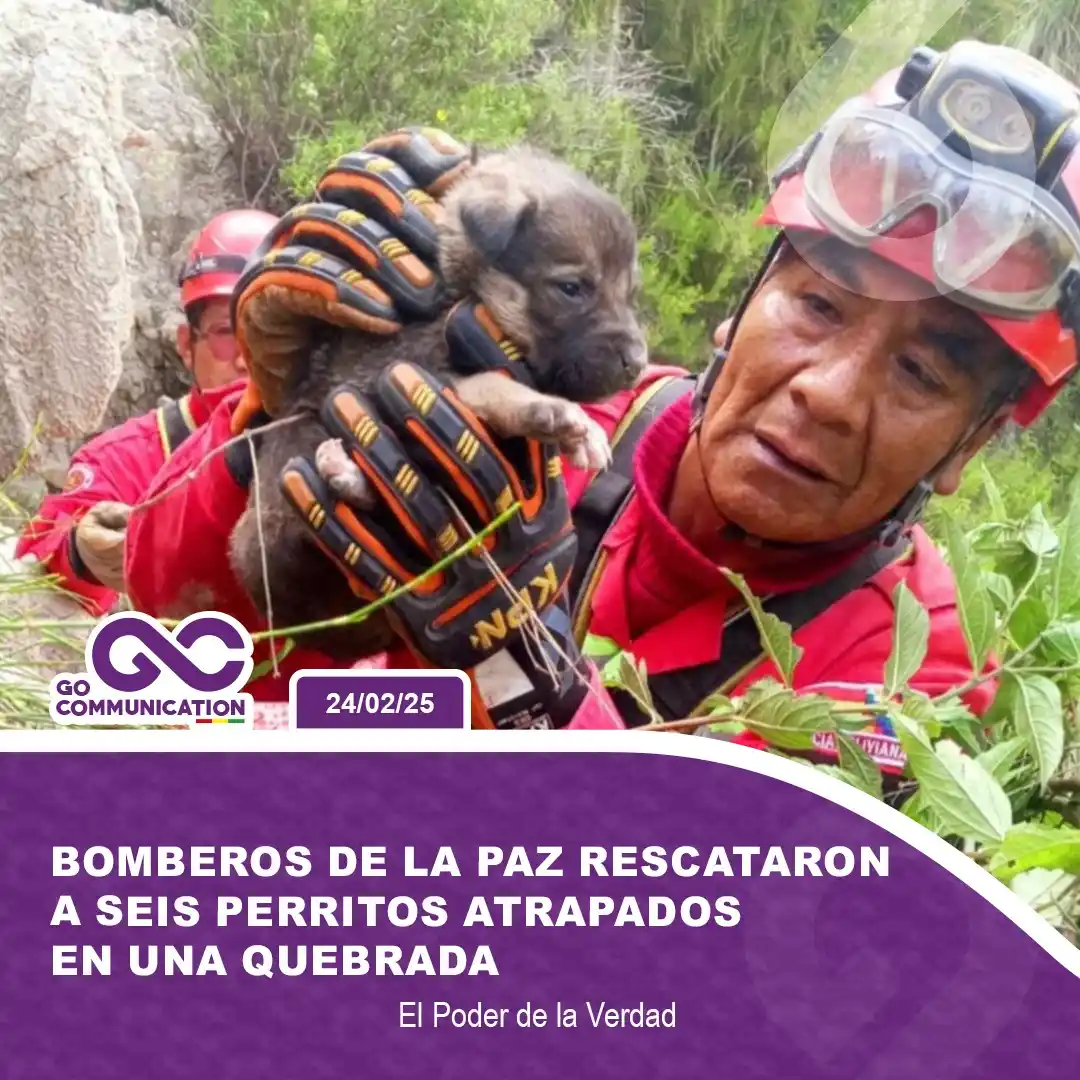 Go Communication Bolivia post