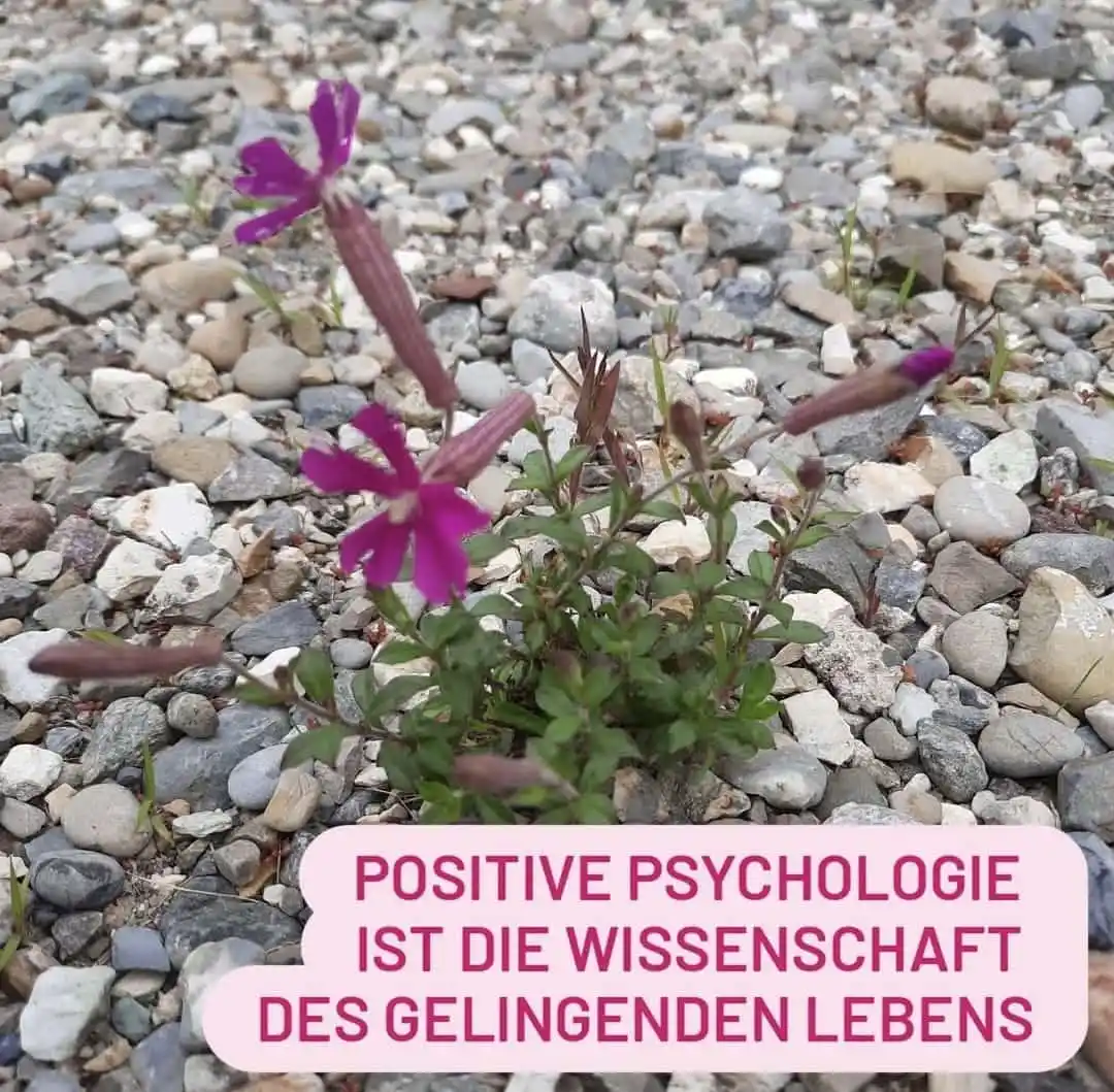 Image from GOLDENflair: Mein zweites Wochenende in der Ausbildung zur Resilienz-Trainerin 🌈 ...