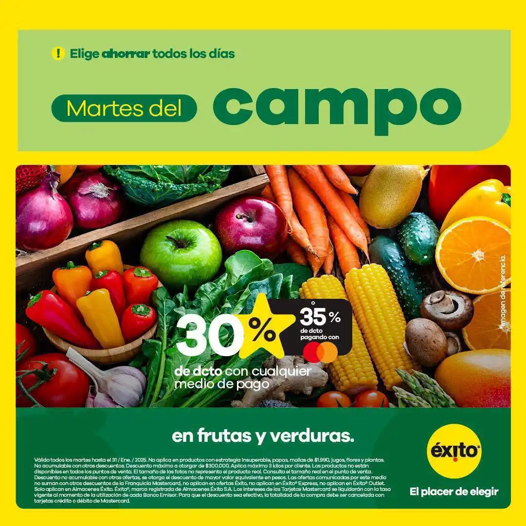 Gran Plaza Florencia post