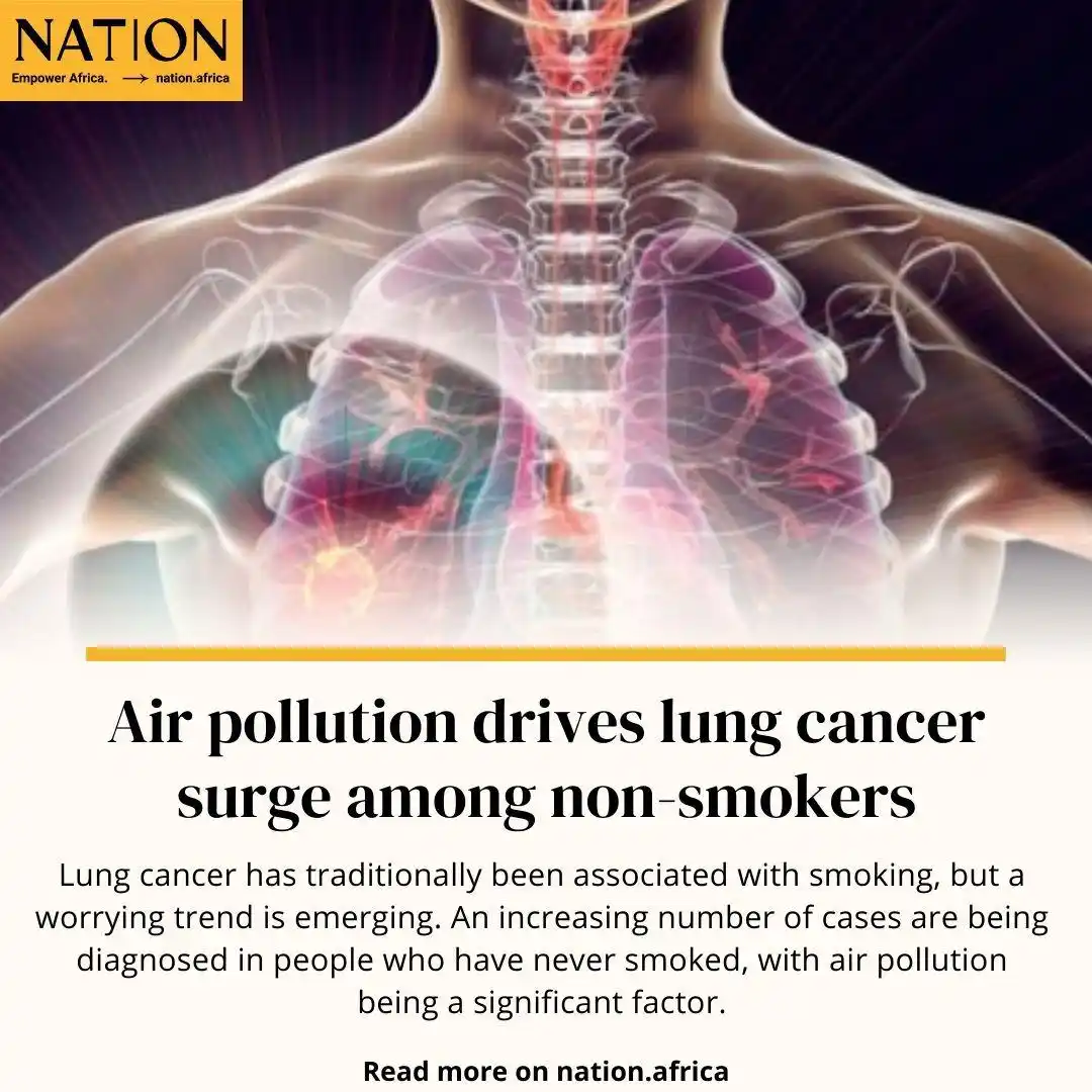 Image from Greenspace | Environment & Climate: Air pollution drives lung cancer surge among non-smokers <a class="tex...