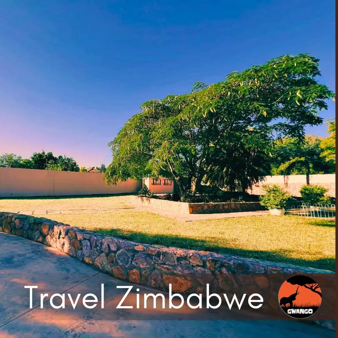 Image from Gwango Africa: For all the historians and preservationists seeking a different kind o...