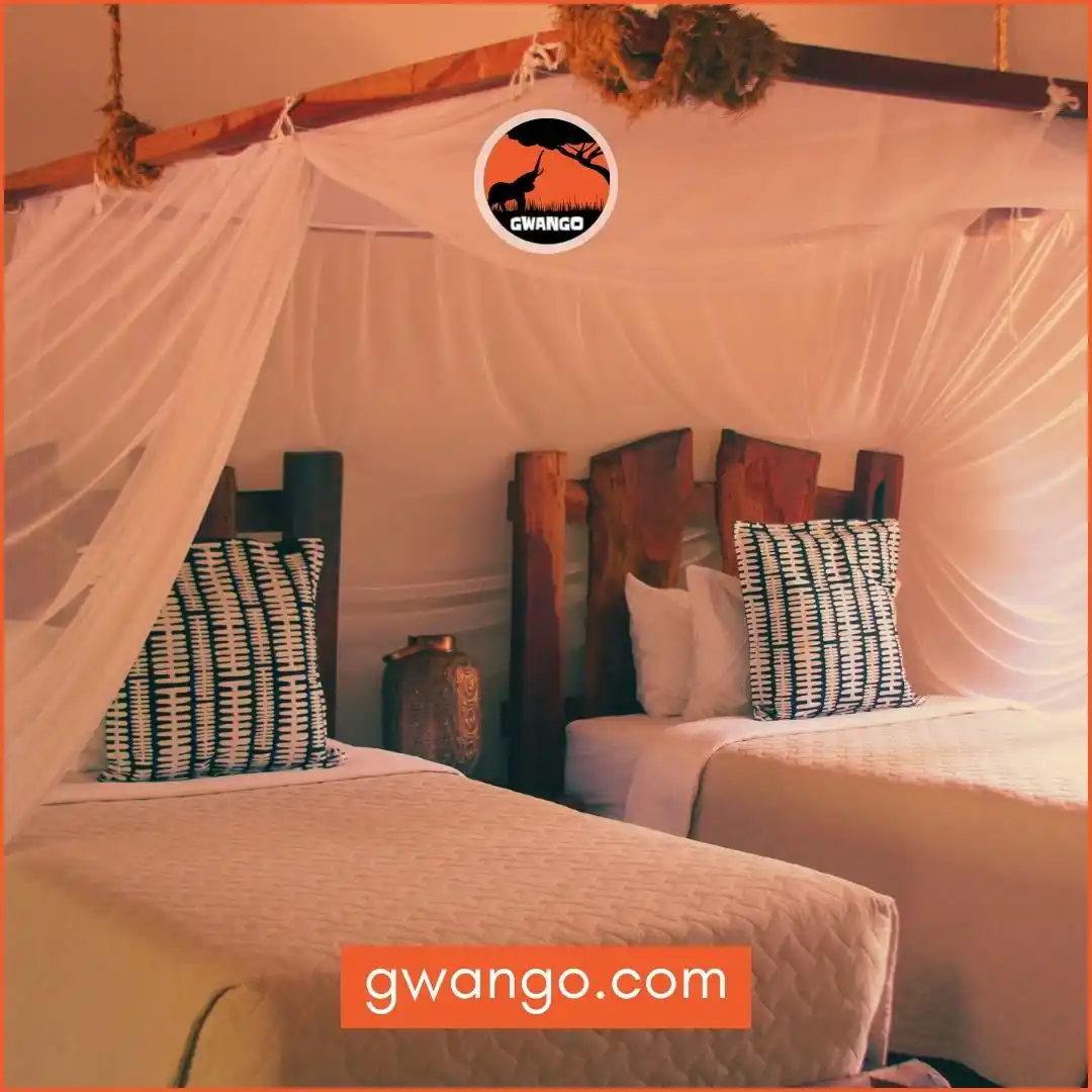 Image from Gwango Africa: Gwango Elephant Lodge offers thoughtfully designed guest rooms with am...