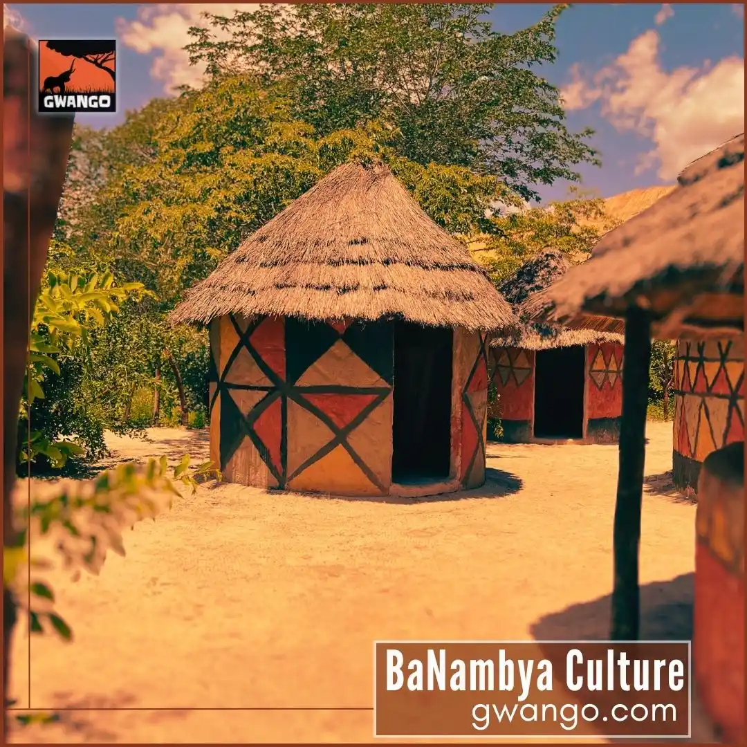 Image from Gwango Africa: Walking through the replica <a class="text-blue-500 hover:underline cu...
