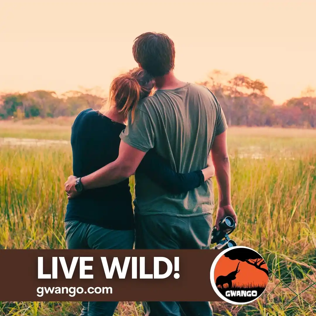 Image from Gwango Africa: One thing’s certain.. every guest at <a class="text-blue-500 hover:und...