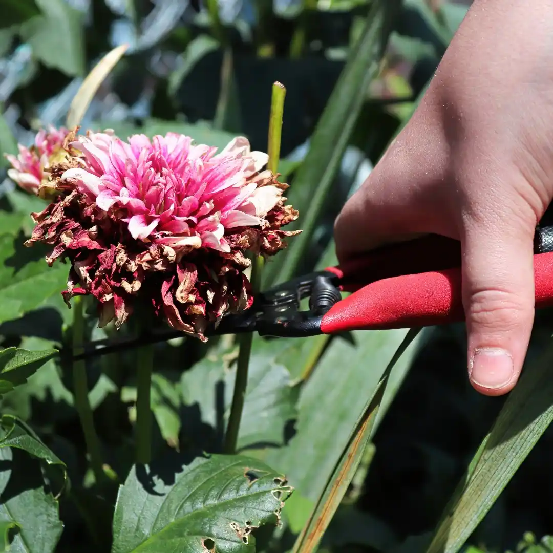 Hackney Council post