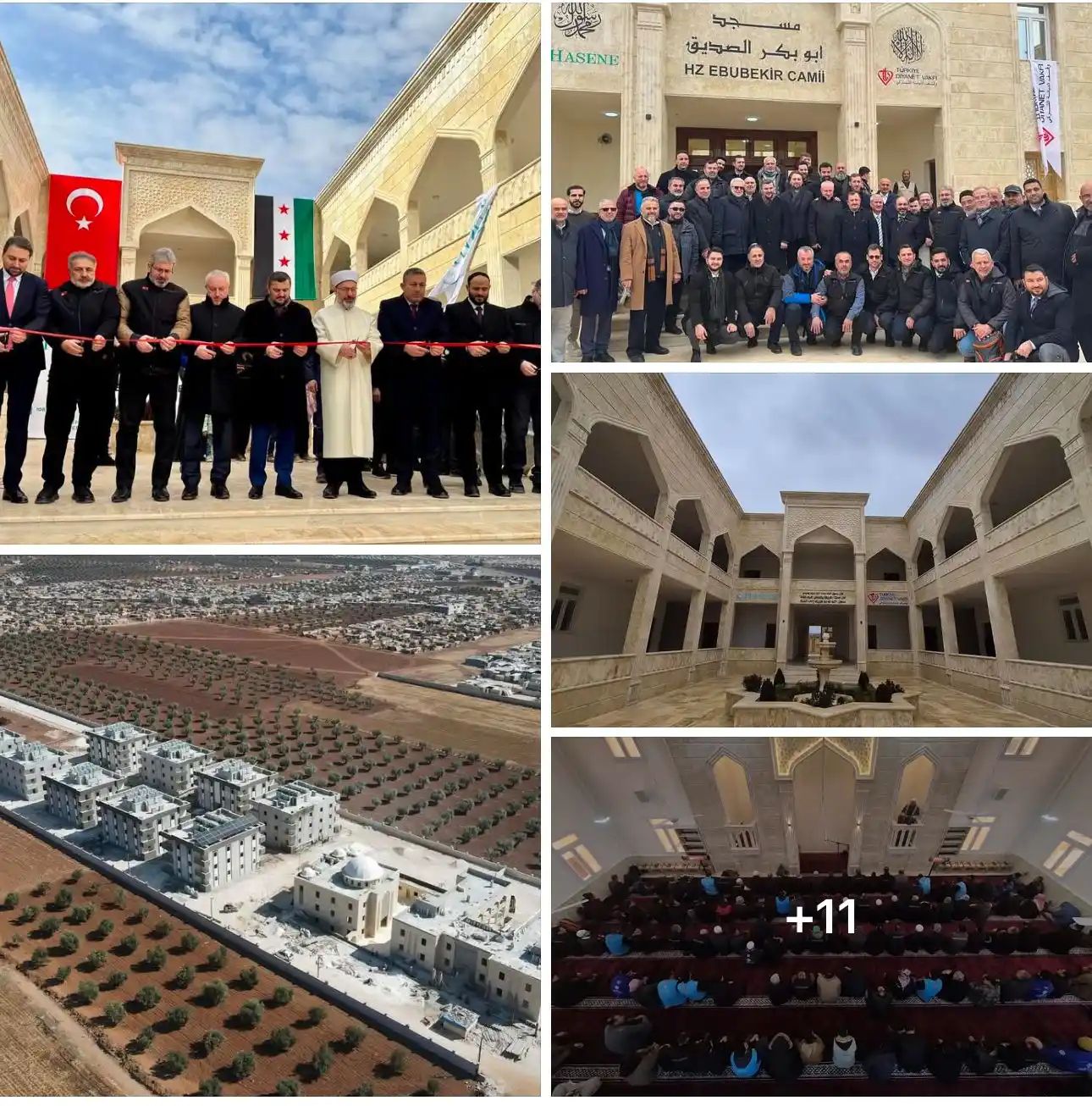 HASENE International e. V. post