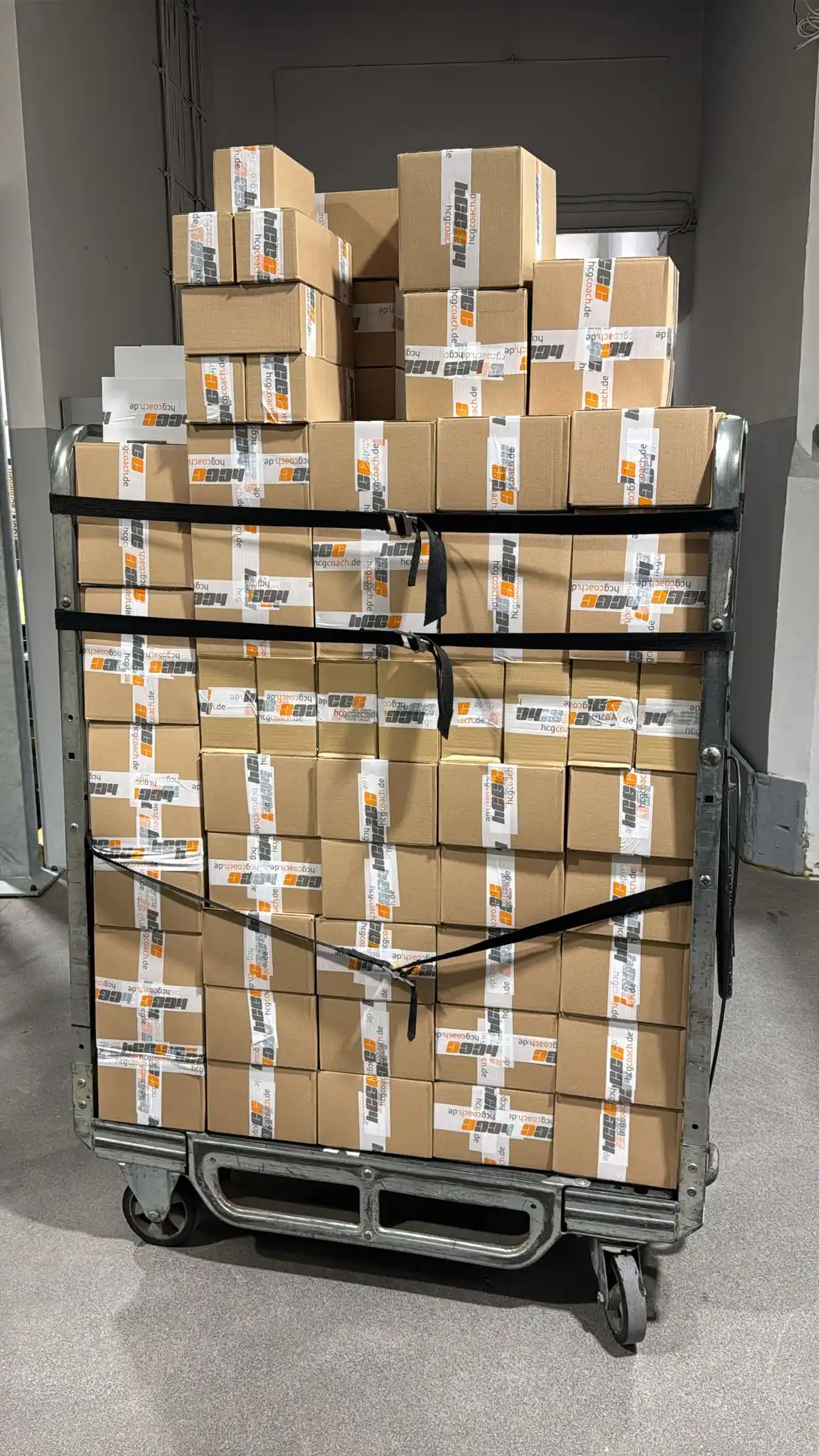 hcgcoach post