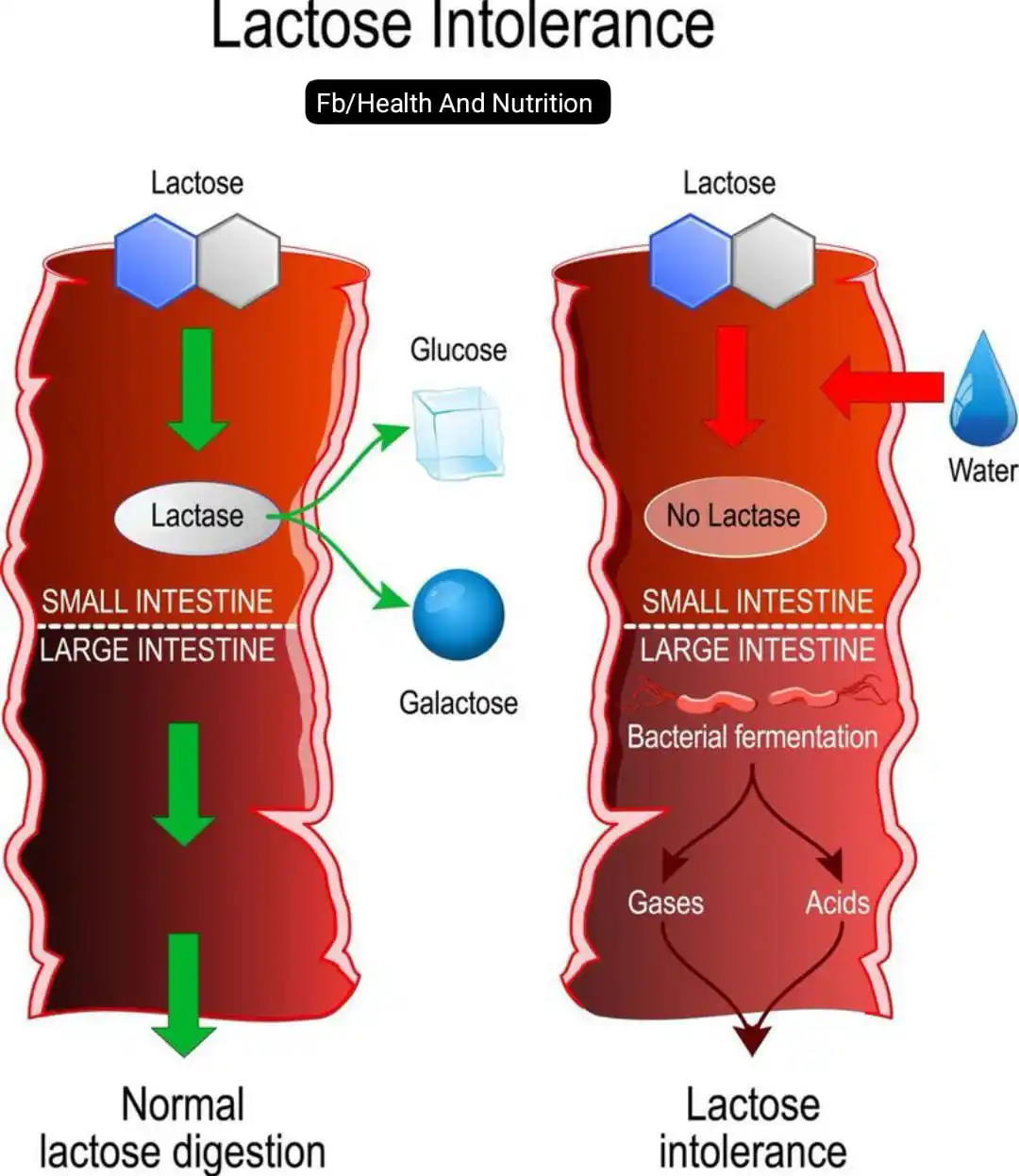 Health And Nutrition post