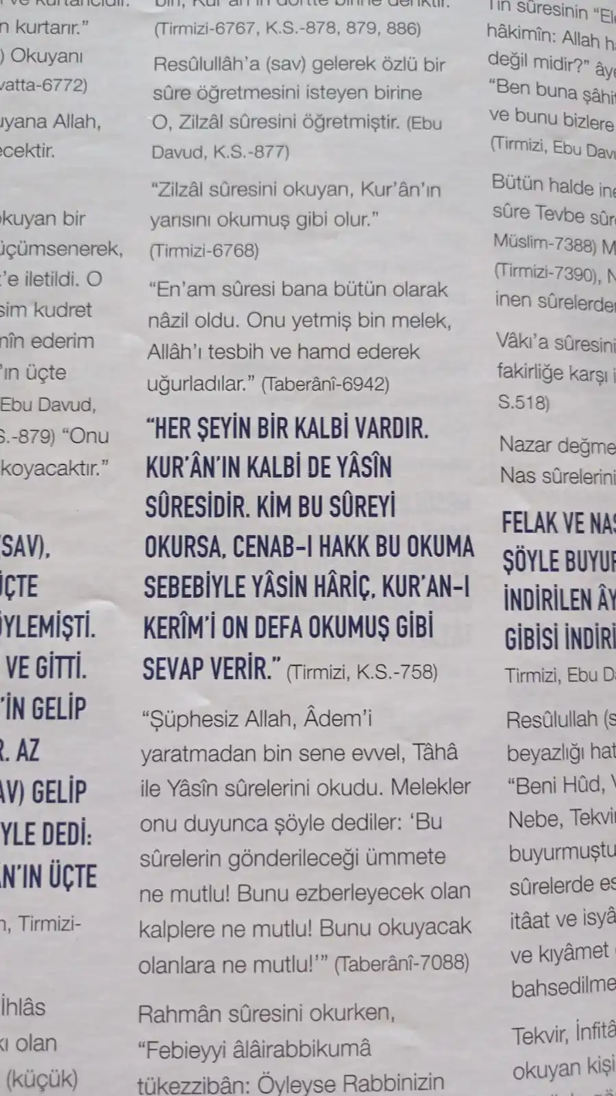 Helal Ve Tayyib Gıda Dedektifi post