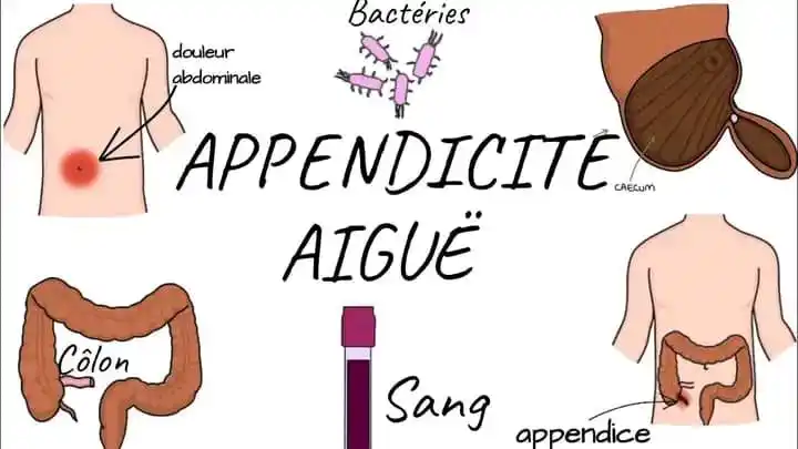 𝐇𝐢𝐫𝐨 𝐒𝐦𝐚𝐫𝐭 ✓ post