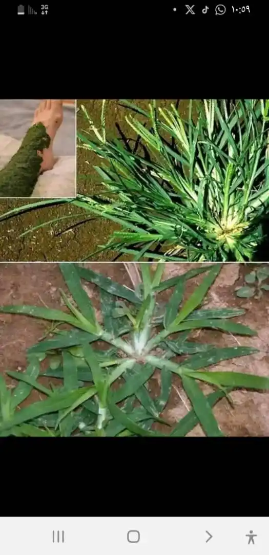 حكم مفيده 💢وا💚مواعظ جديده🍃طريق الى الجنه post