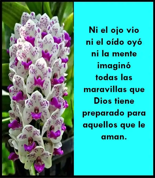 Imágenes para Evangelizar post