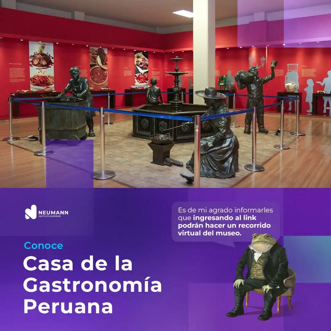 Instituto Neumann Oficial  post