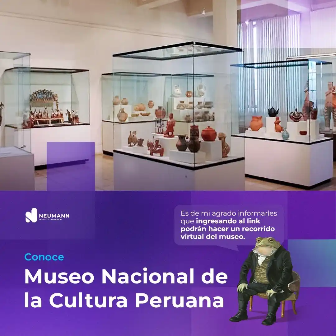 Instituto Neumann Oficial  post