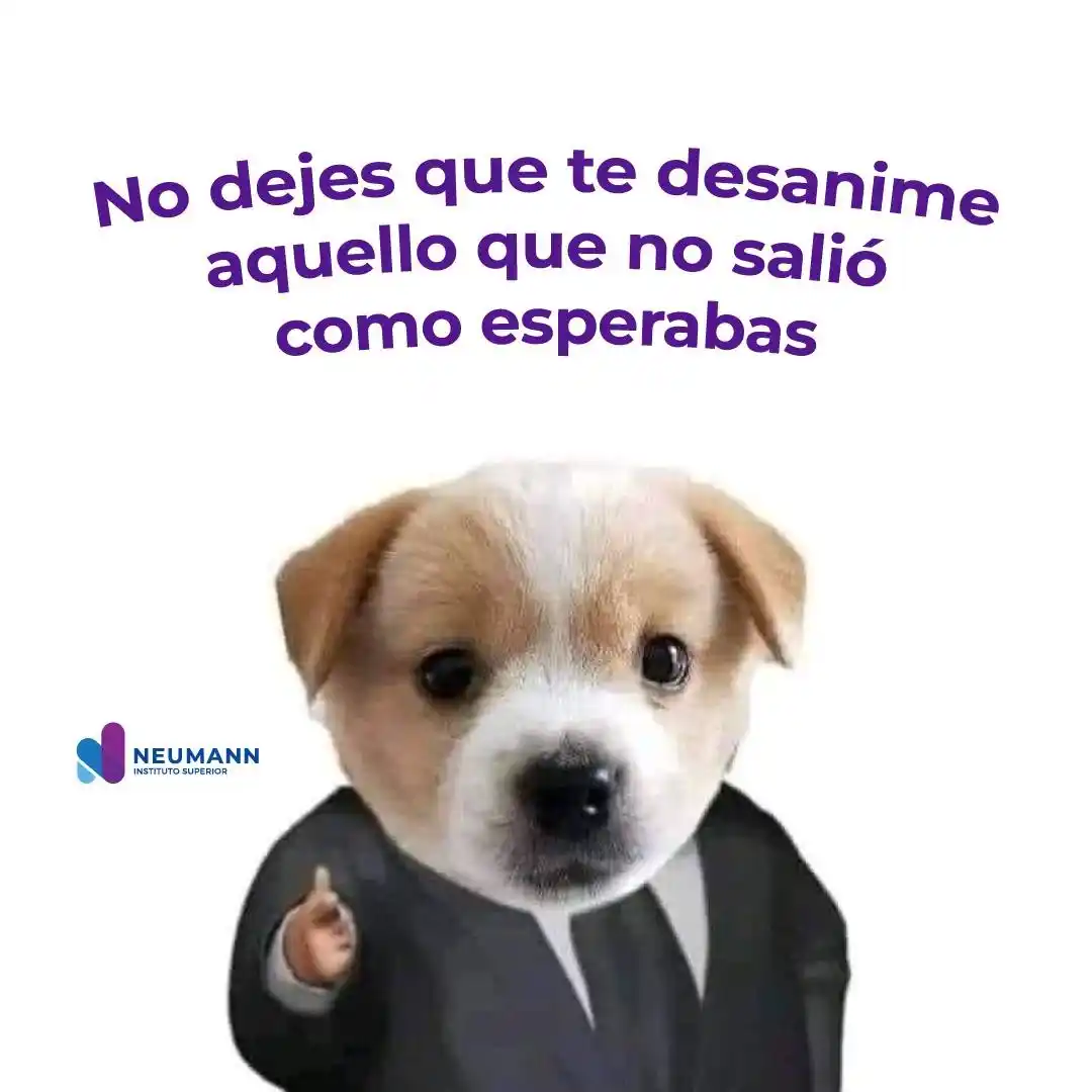 Instituto Neumann Oficial  post