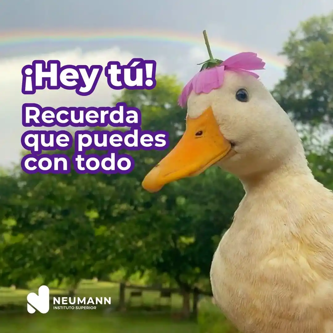 Instituto Neumann Oficial  post