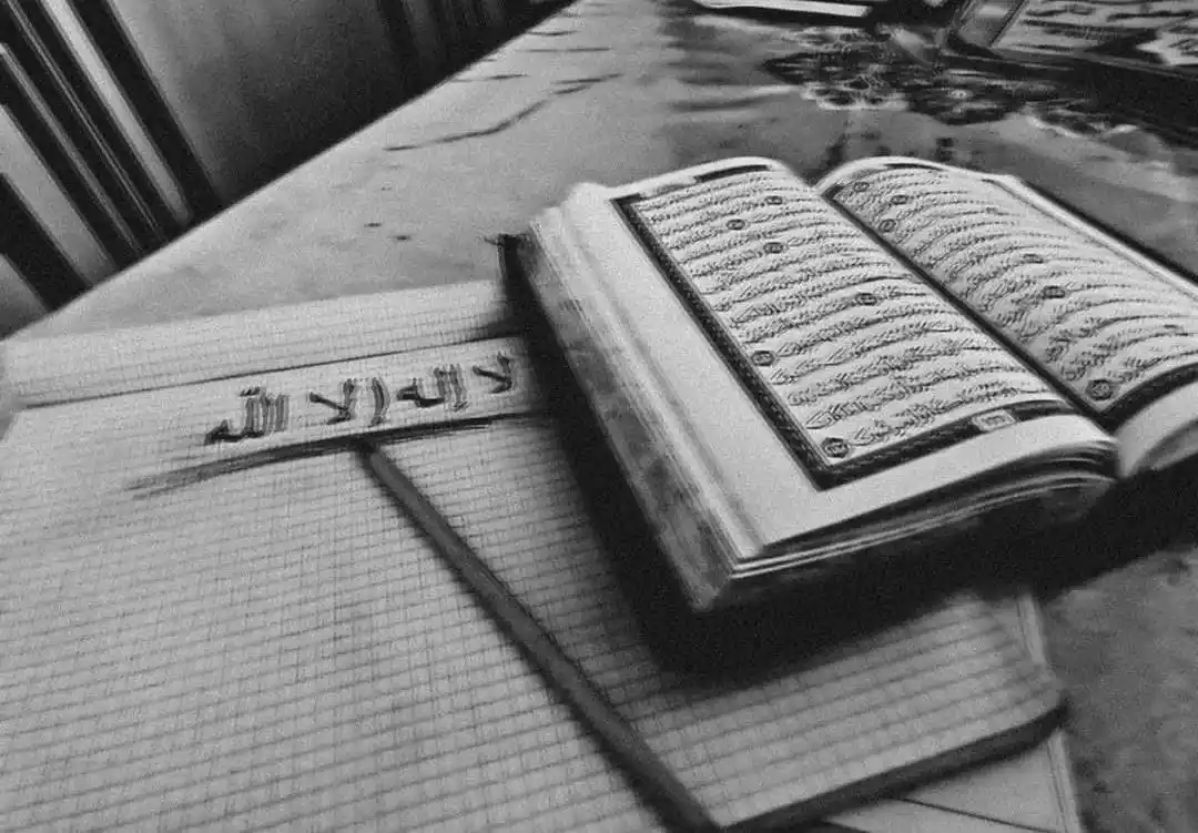 Islamic Education  and Knowledge Official post