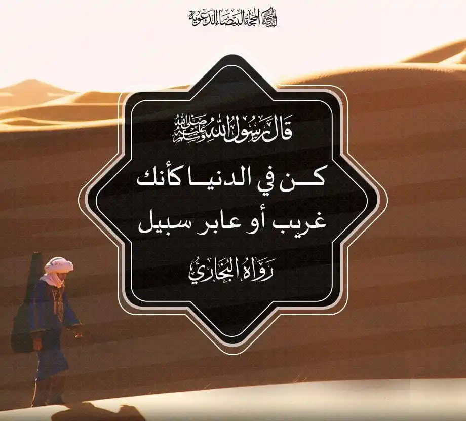 Islamic Education  and Knowledge Official post