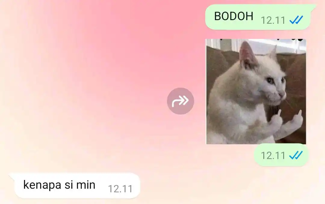 Jasmine's diary post