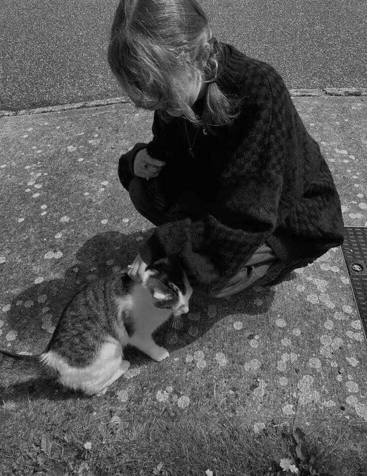 𝗖𝗔𝗖𝗧𝗨𝗦 ✨🌵💚 post